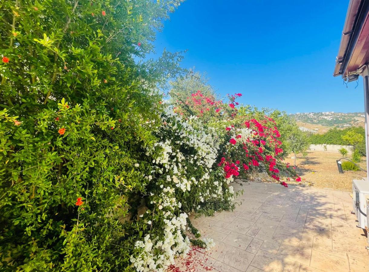 Beautiful Kwatera prywatna Pafos